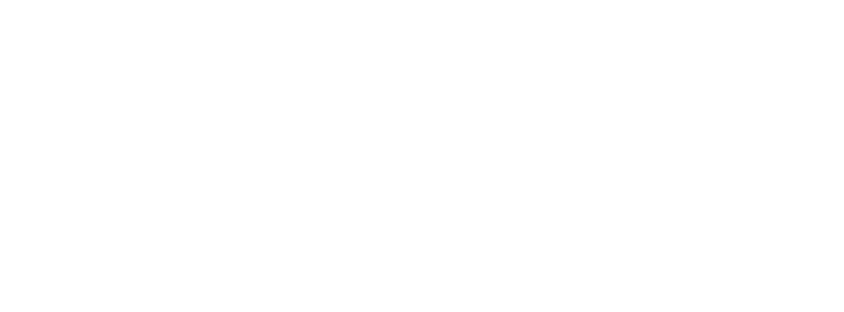 Netdrift.dk logo